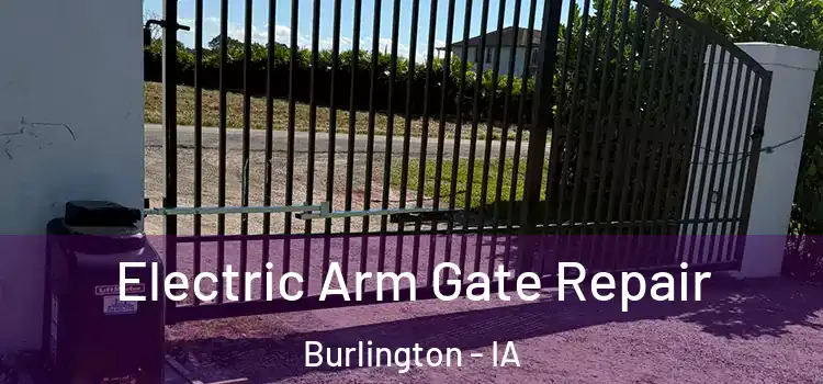 Electric Arm Gate Repair Burlington - IA