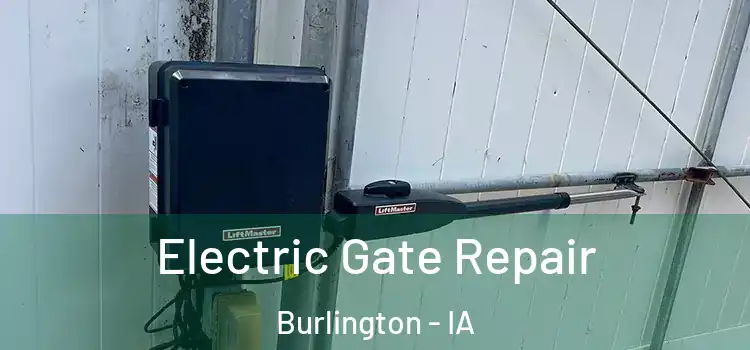 Electric Gate Repair Burlington - IA