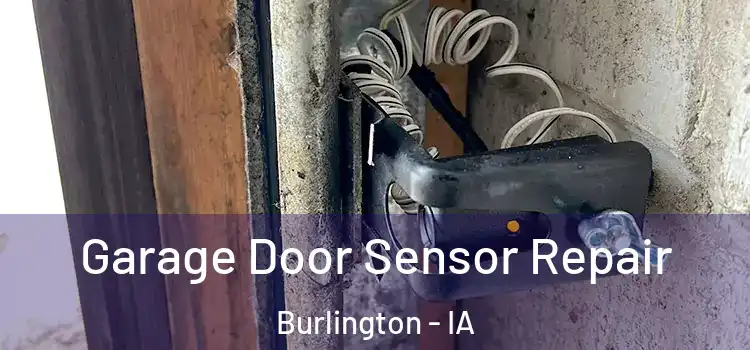 Garage Door Sensor Repair Burlington - IA