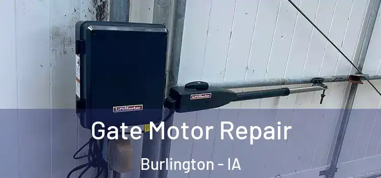 Gate Motor Repair Burlington - IA